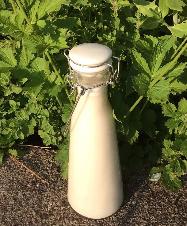 Hafermilch ganz einfach selbstgemacht | simple homemade oatmilk